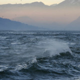 Wasser kann manches Portfolio erfrischen