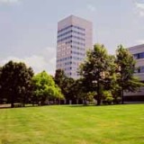 J&J will Bereich Diagnostik verkaufen