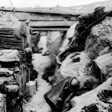 Wirtschaft und Weltkrieg