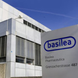 Basilea befindet sich erneut in der Erntephase
