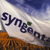 Syngenta wächst, doch die Marge hält nicht mit