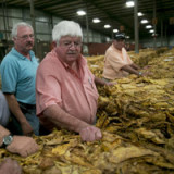 Haushaltsstreit sorgt für schlechte Verbraucherstimmung