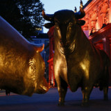 Zu viele Bullen in der Herde