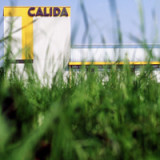 Calida liefert überzeugende Zahlen