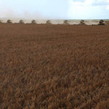 «Guter Markt mit Eintrittsbarriere»