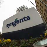 Syngenta sind jetzt ein Kauf