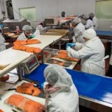 US-Industrieproduktion gibt wetterbedingt nach