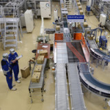 Japans Industrieproduktion sinkt überraschend