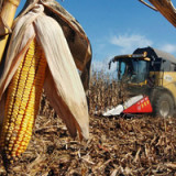 Stürmische Zeiten an den Rohwarenmärkten