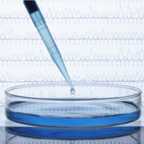 Biotech-Baisse ist nicht vorbei