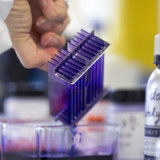 Grossbritannien erteilt Notfallzulassung für BioNTech-Impfstoff