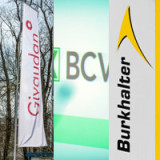 Die besten Schweizer Dividendenzahler