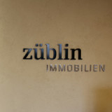 Vekselberg greift nach Züblin