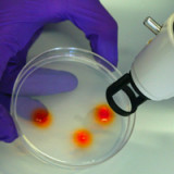 Dividendenerhöhung bei BB Biotech