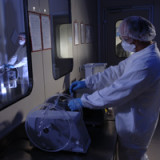 Der nächste Streich von Cosmo