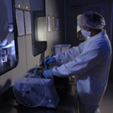 Cosmo bleibt auf Erfolgskurs