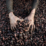 Kakaoengpass fordert die Branche