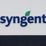 Syngenta steht vor einem guten Herbst