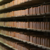 Konjunkturbarometer steigt im August