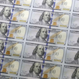 Fast alle setzen auf den Dollar
