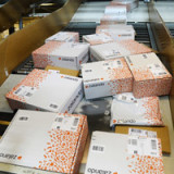 Zalando will noch 2014 an die Börse