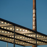 Bayer bündelt Kräfte