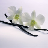 Givaudan bringt Biotechnologie zum Duften