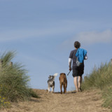Genossenschafts-Gen bremst Vaudoise