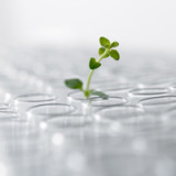 IPO-Markt setzt die Hoffnung auf Biotech