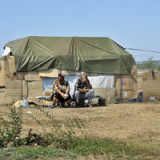 Poroschenko bestätigt Unterzeichnung der Waffenruhe