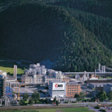 Ems-Chemie wächst langsamer