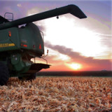 Monsanto verfehlt Erwartungen