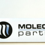Molecular hat schon volles IPO-Buch