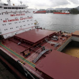 Südamerikas holländisches Problem