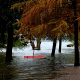 Swiss Re rechnet mit weiterem Wachstum