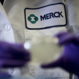 Merck & Co übernimmt Krebsspezialisten
