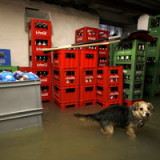 Versicherer sind doch systemgefährdend