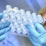 Hot Corner: Bio-Generika