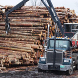 Dr. Copper und Prof. Lumber signalisieren schwache Konjunktur