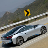 Autoneum ist auf der Pirsch