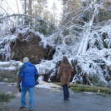 Ärgerlicher werdende Nebenbuhler