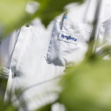 Syngenta sind wieder eine Blue-Chip-Anlage