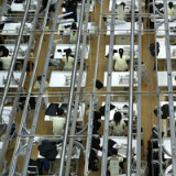 China macht Schweizer Unternehmen Freude