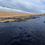 Ölpreiszerfall hilft dem Umweltschutz