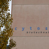 Cytos-Titel haussieren 83%