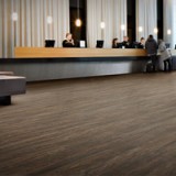 Forbo ergänzt Rückkaufprogramm