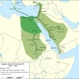 Aufstieg und Fall von Muhammad Ali