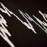 Dividendentrends divergieren