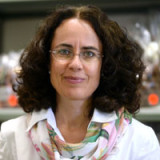 Monica Müller: Erfolg mit Schoggi-Nischen