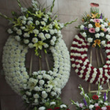 Hot Corner: Todsicher